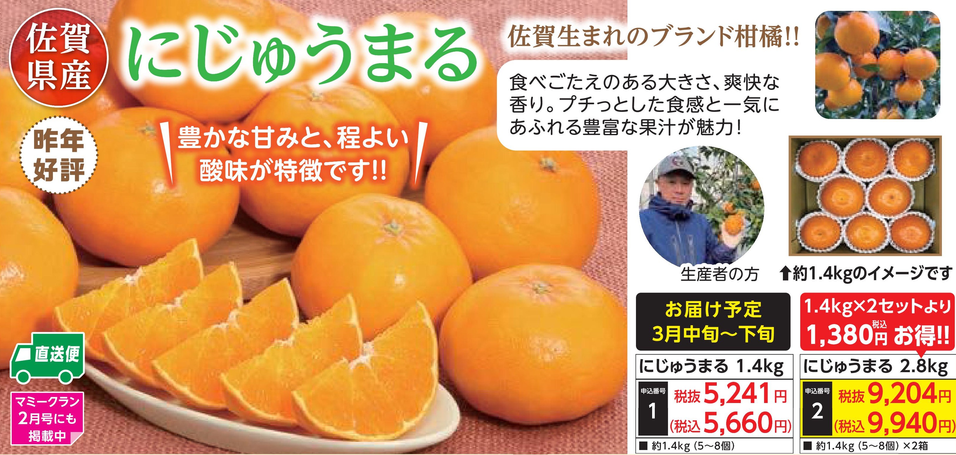 【産地直送品】にじゅうまる 2.8kg (3月中旬～下旬出荷)(前払い)