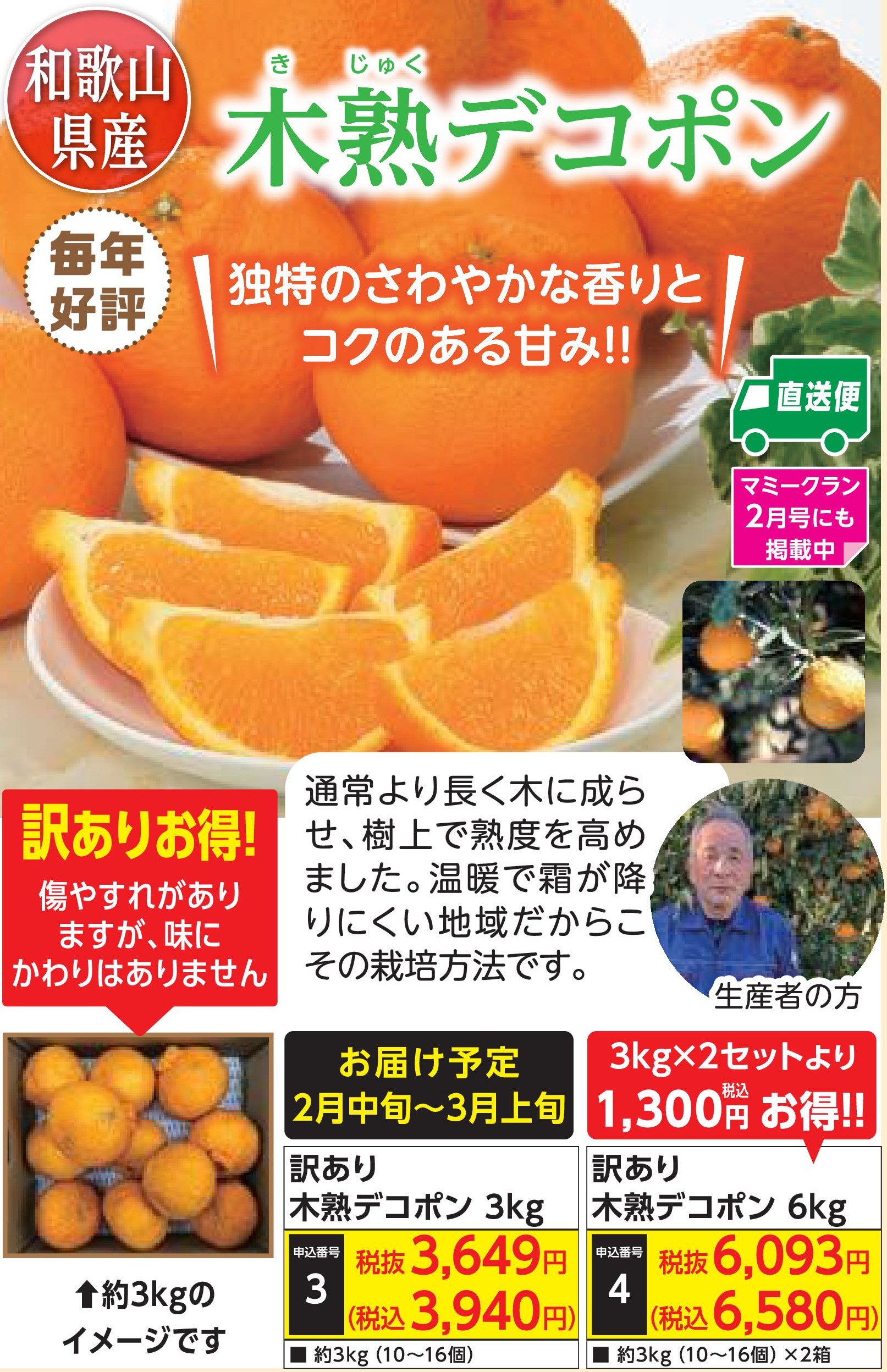 【産地直送品】訳あり 木熟デコポン 3kg (2月中旬～3月上旬出荷)(前払い)