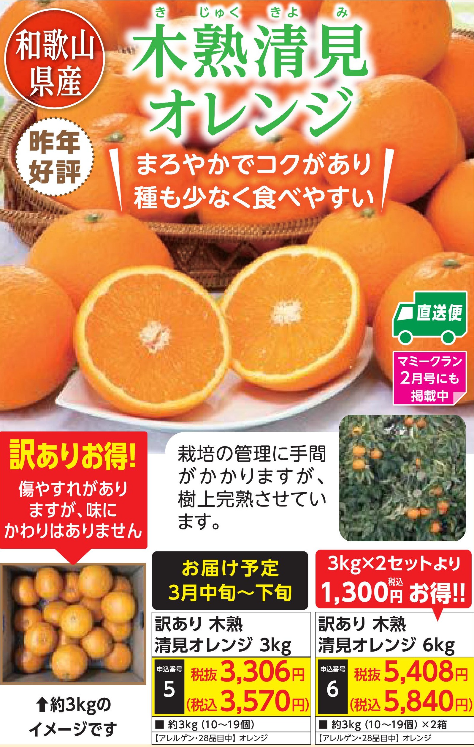 【産地直送品】訳あり 木熟清見オレンジ 3kg (3月中旬～下旬出荷)(前払い)