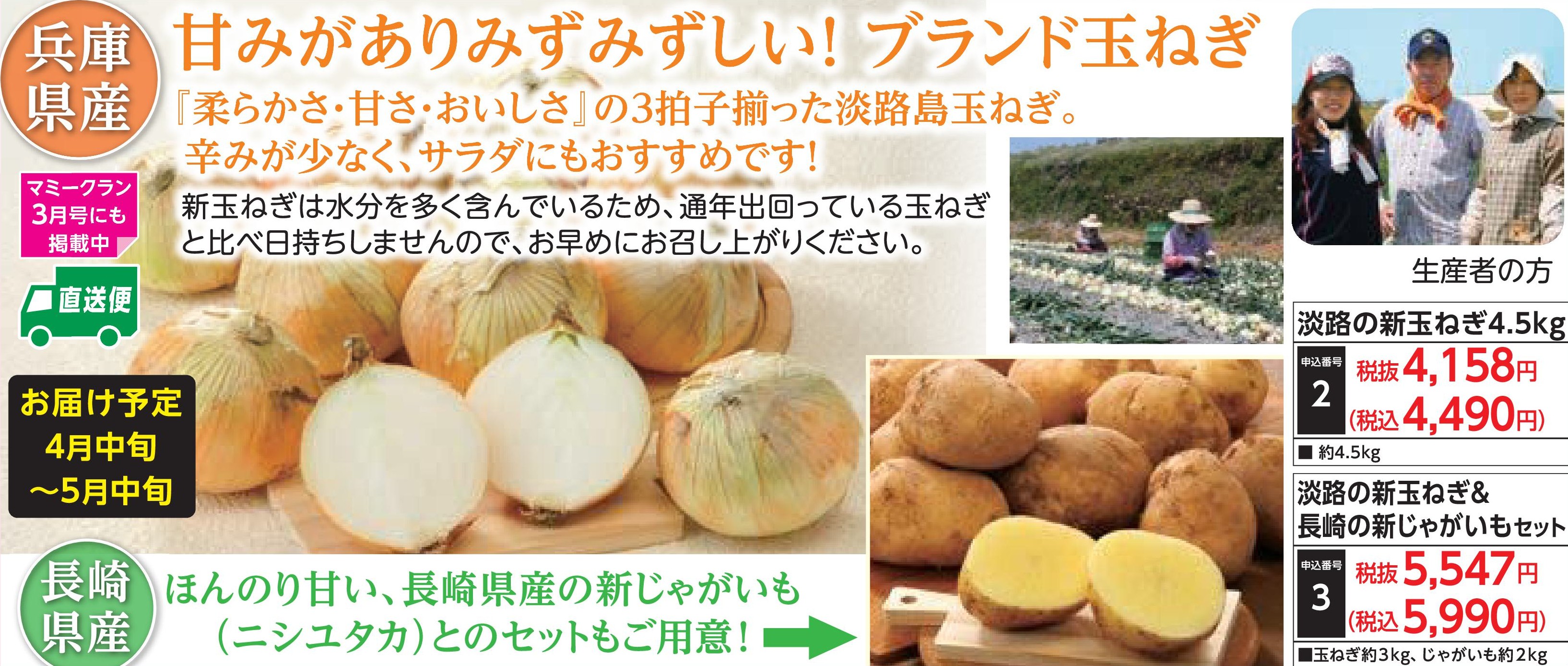 【産地直送品】淡路の新玉ねぎ4.5kg (4月中旬～5月中旬出荷)(前払い)