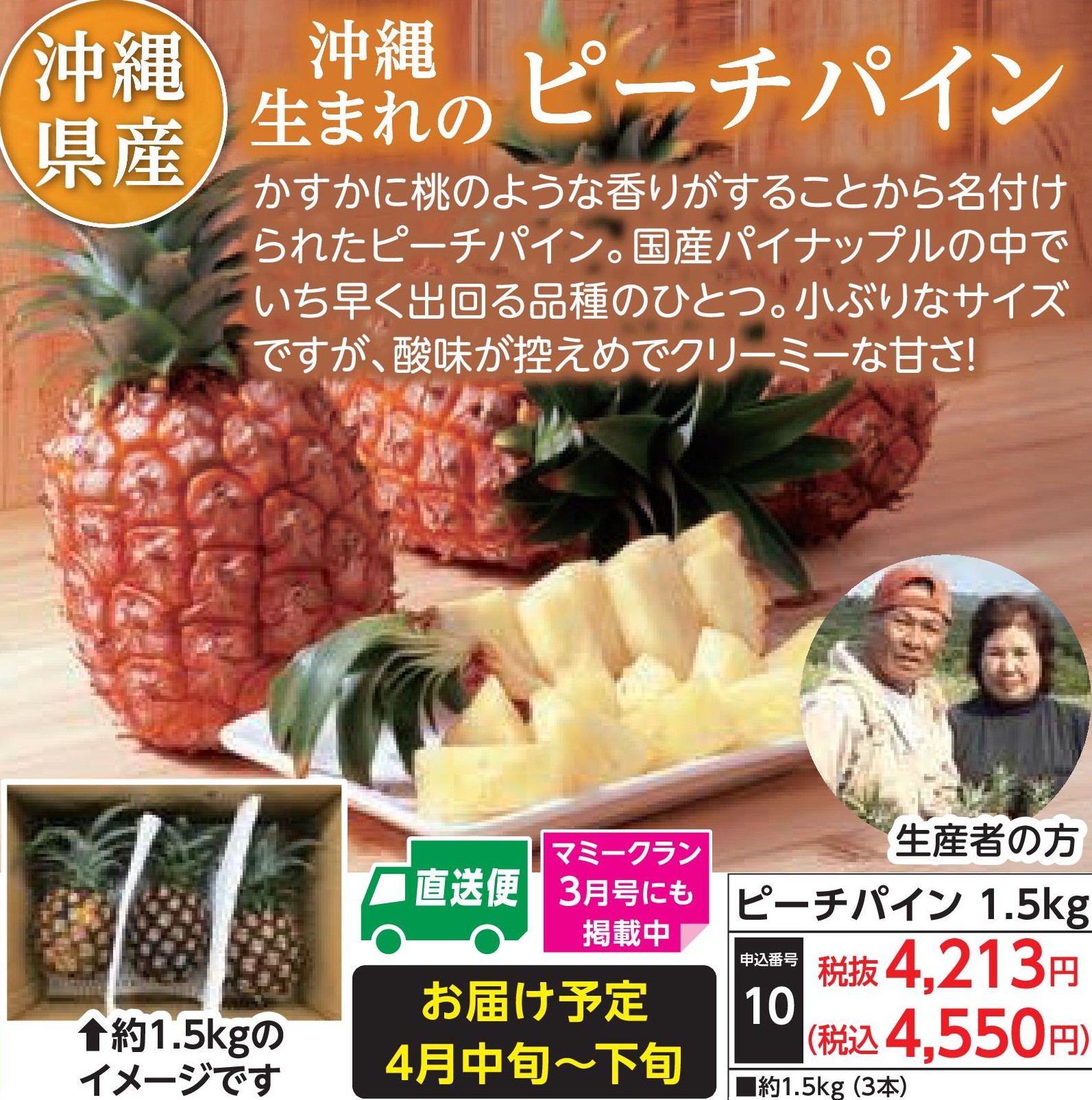 【産地直送品】ピーチパイン1.5kg (4月中旬～4月下旬出荷)(前払い)