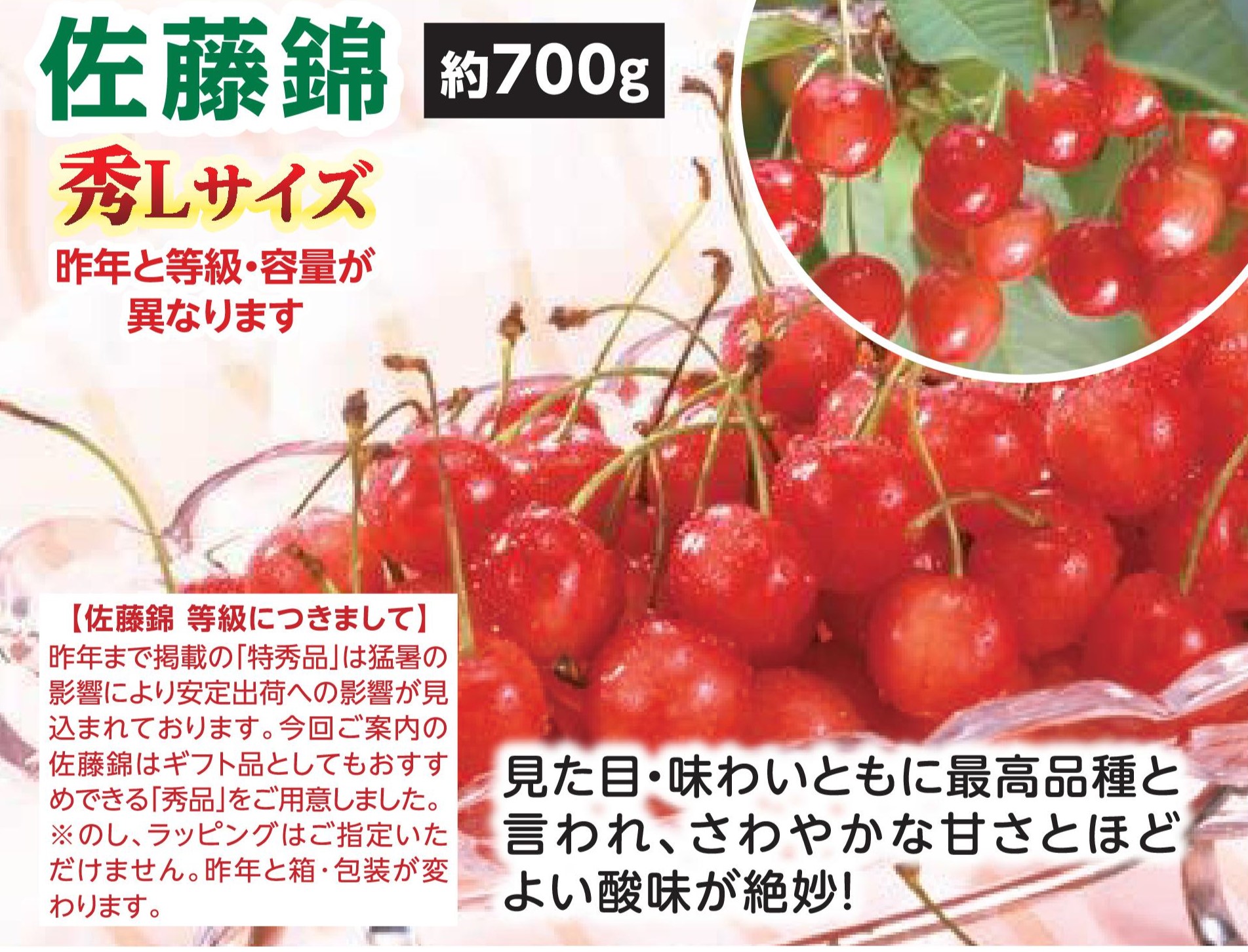 【直送品】さくらんぼ　佐藤錦