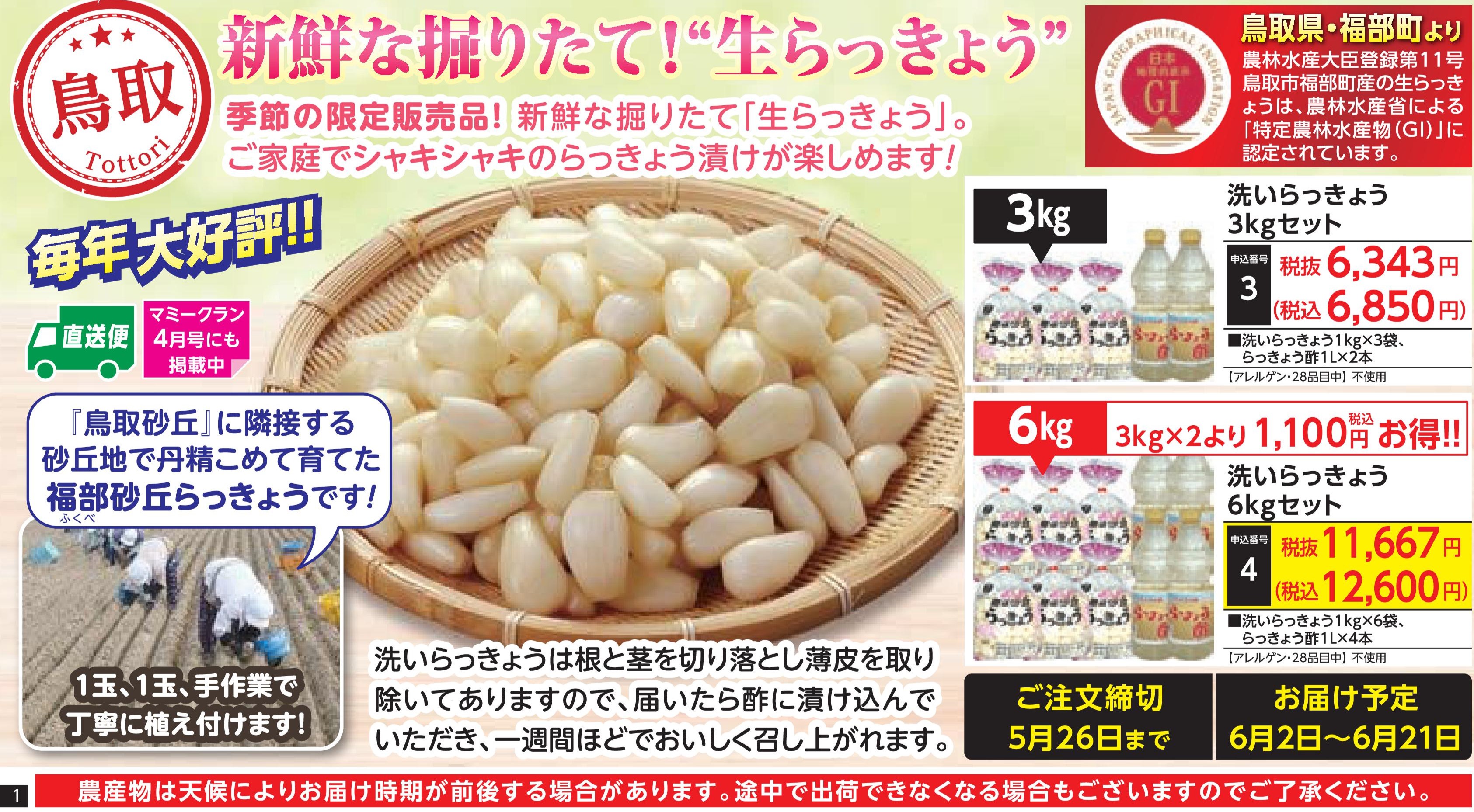 【直送品】洗いらっきょう3kgセット