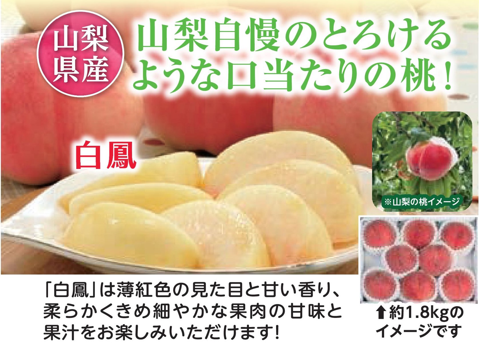 【直送品】山梨の桃　白鳳3.6kg