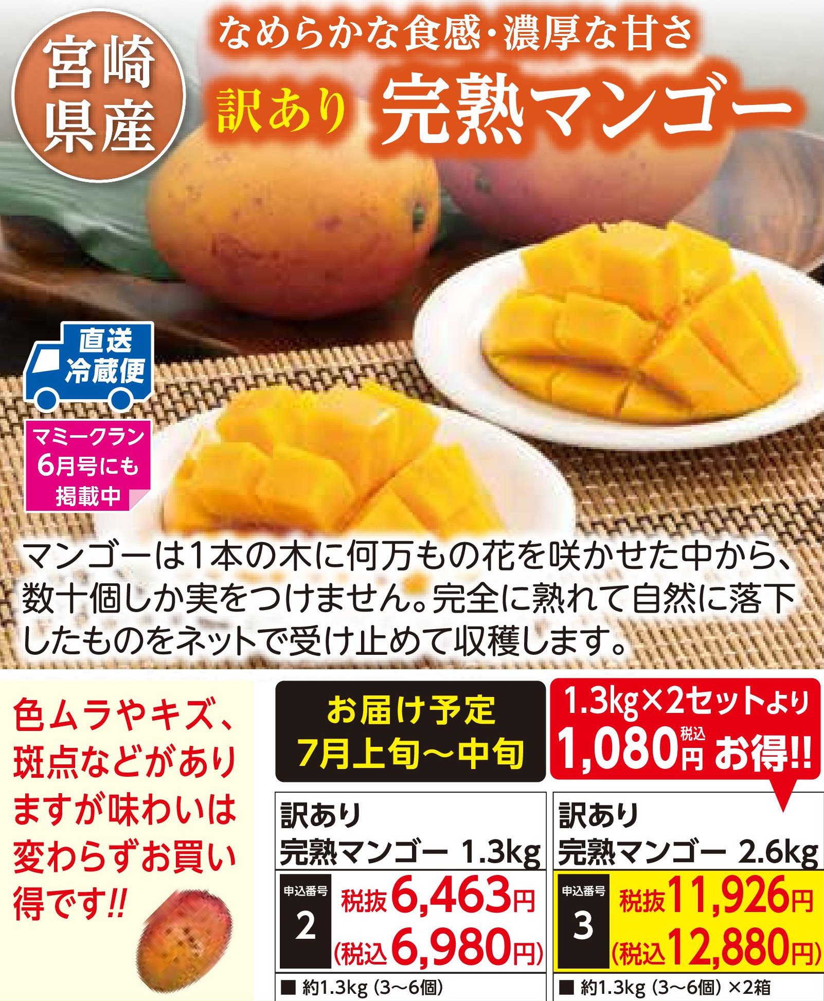 【産地直送品】訳あり 完熟マンゴー1.3kg(7月上旬～中旬出荷)(前払い)