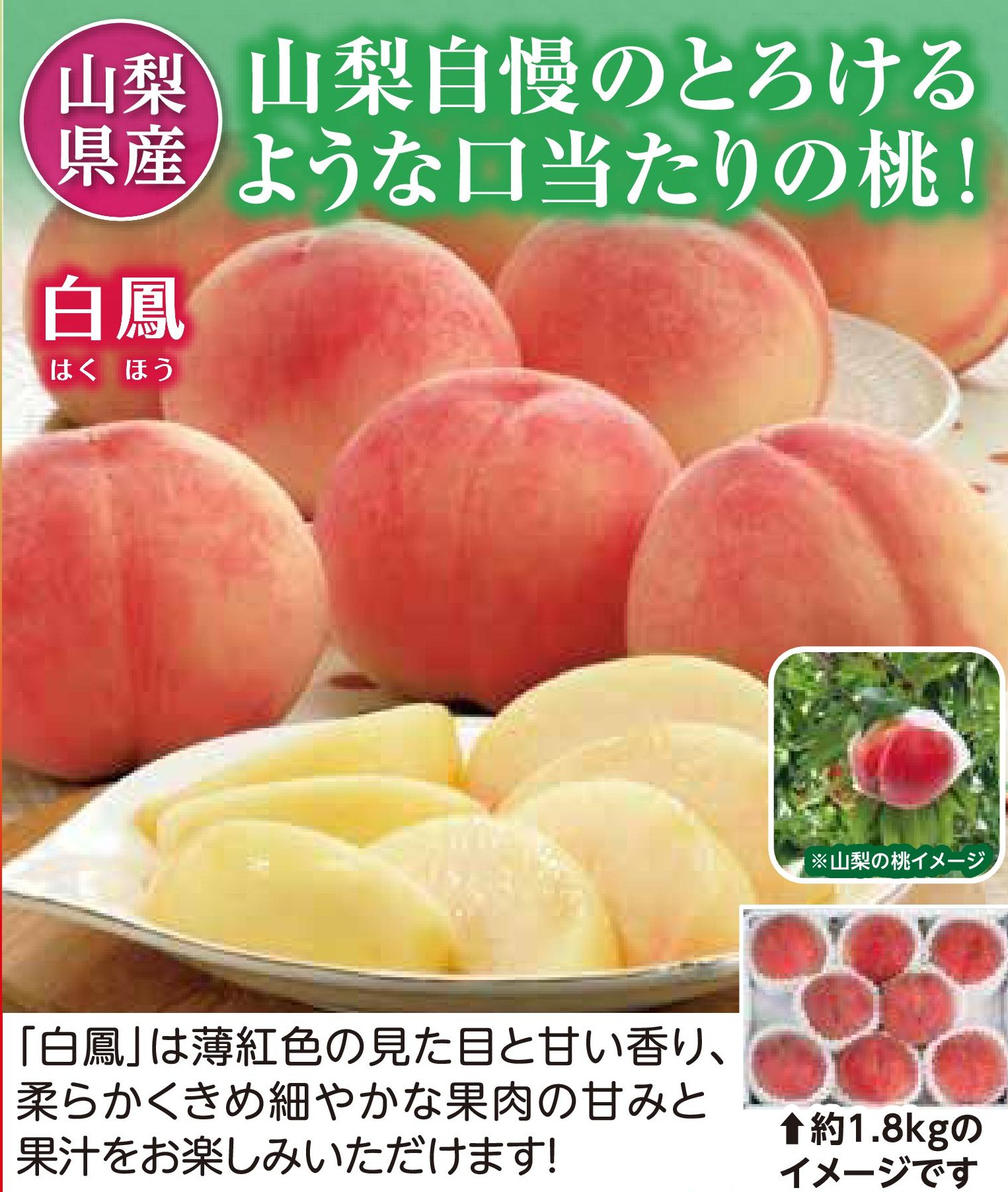 【産地直送品】山梨の桃 白鳳1.8kg　(7月上旬～7月中旬出荷)(前払い)