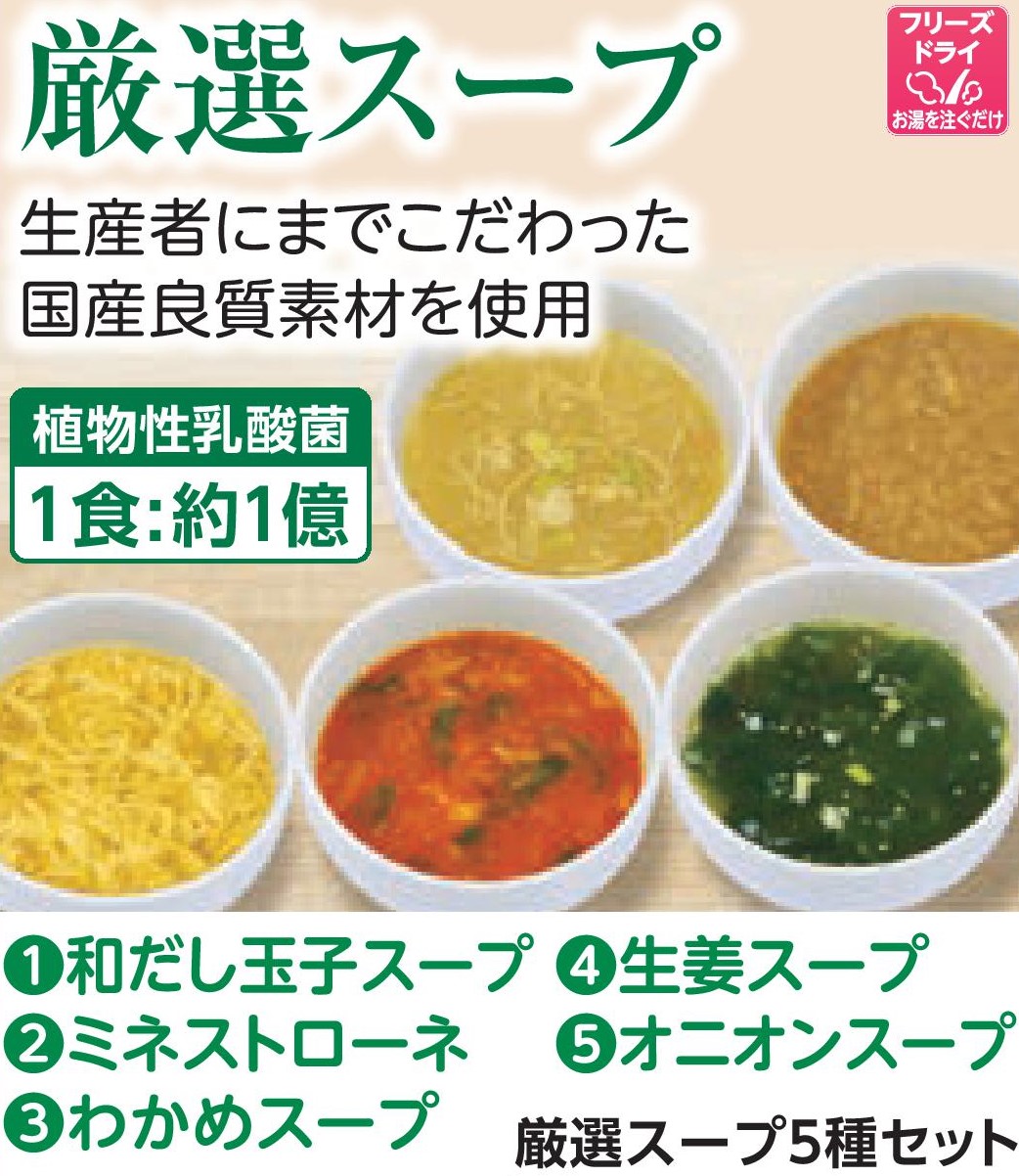 厳選スープ5種セット