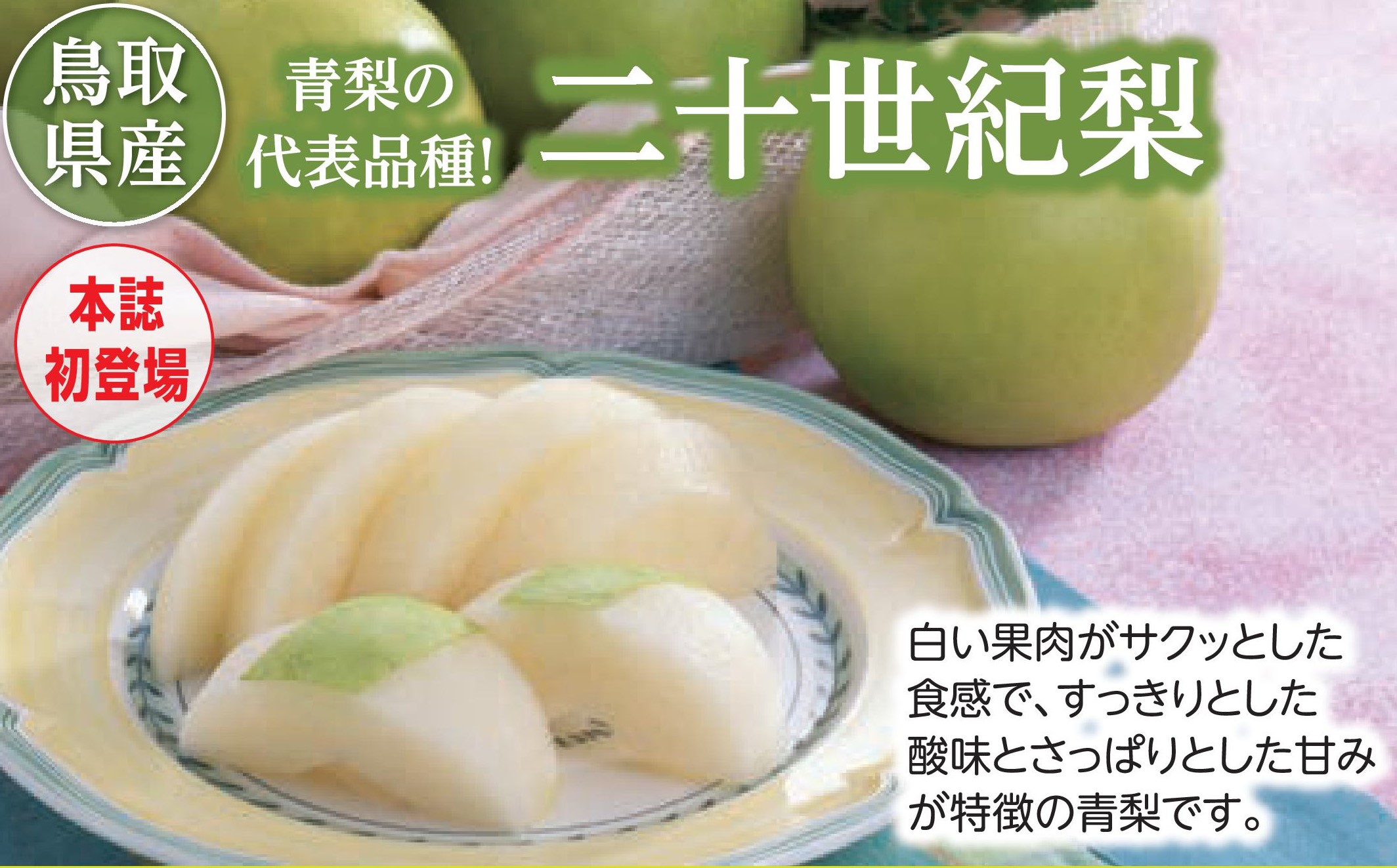 【産地直送品】二十世紀梨4.8kg (8月下旬～9月中旬出荷)(前払い)