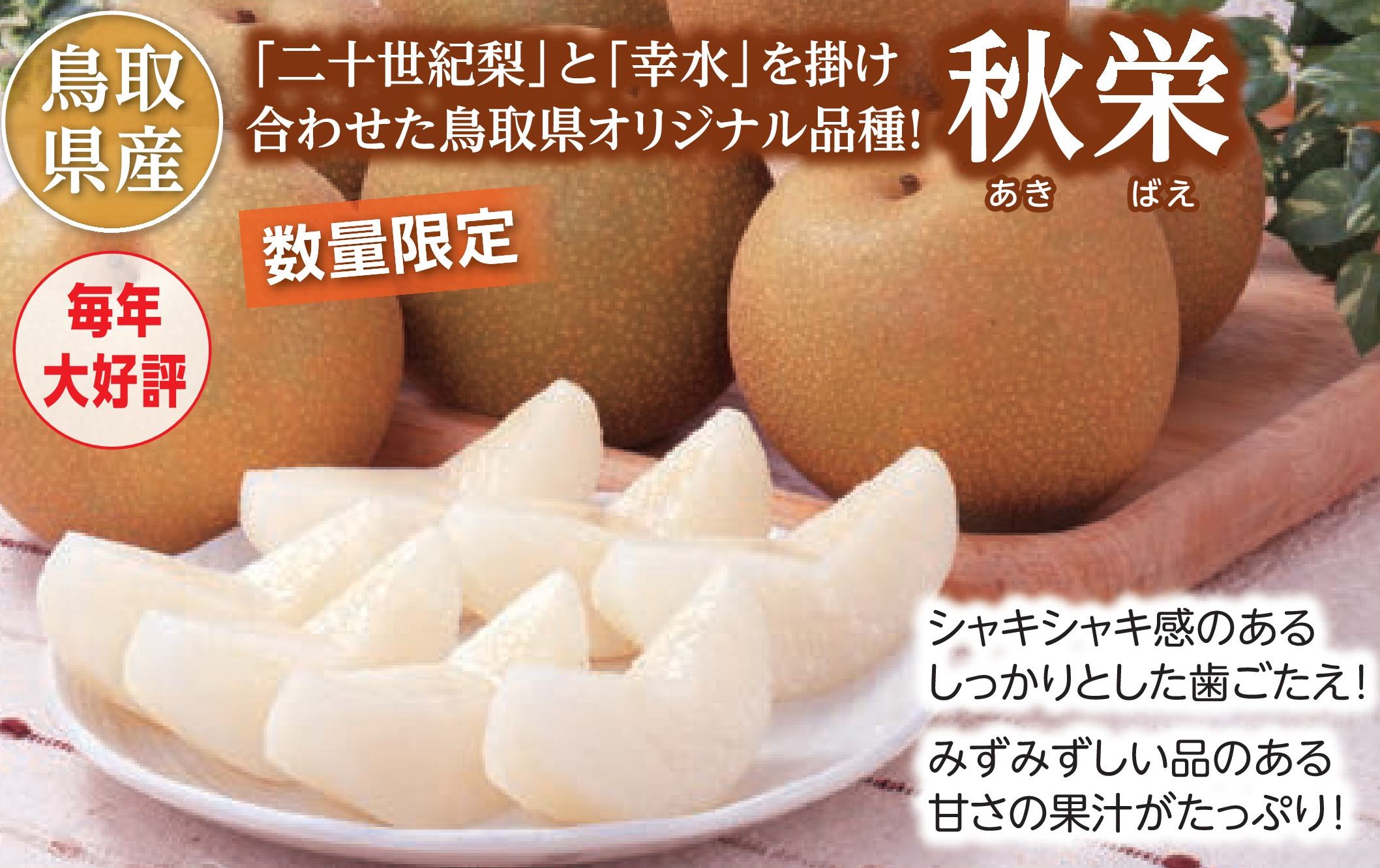 【産地直送品】秋栄4.8kg (8月下旬出荷)(前払い)