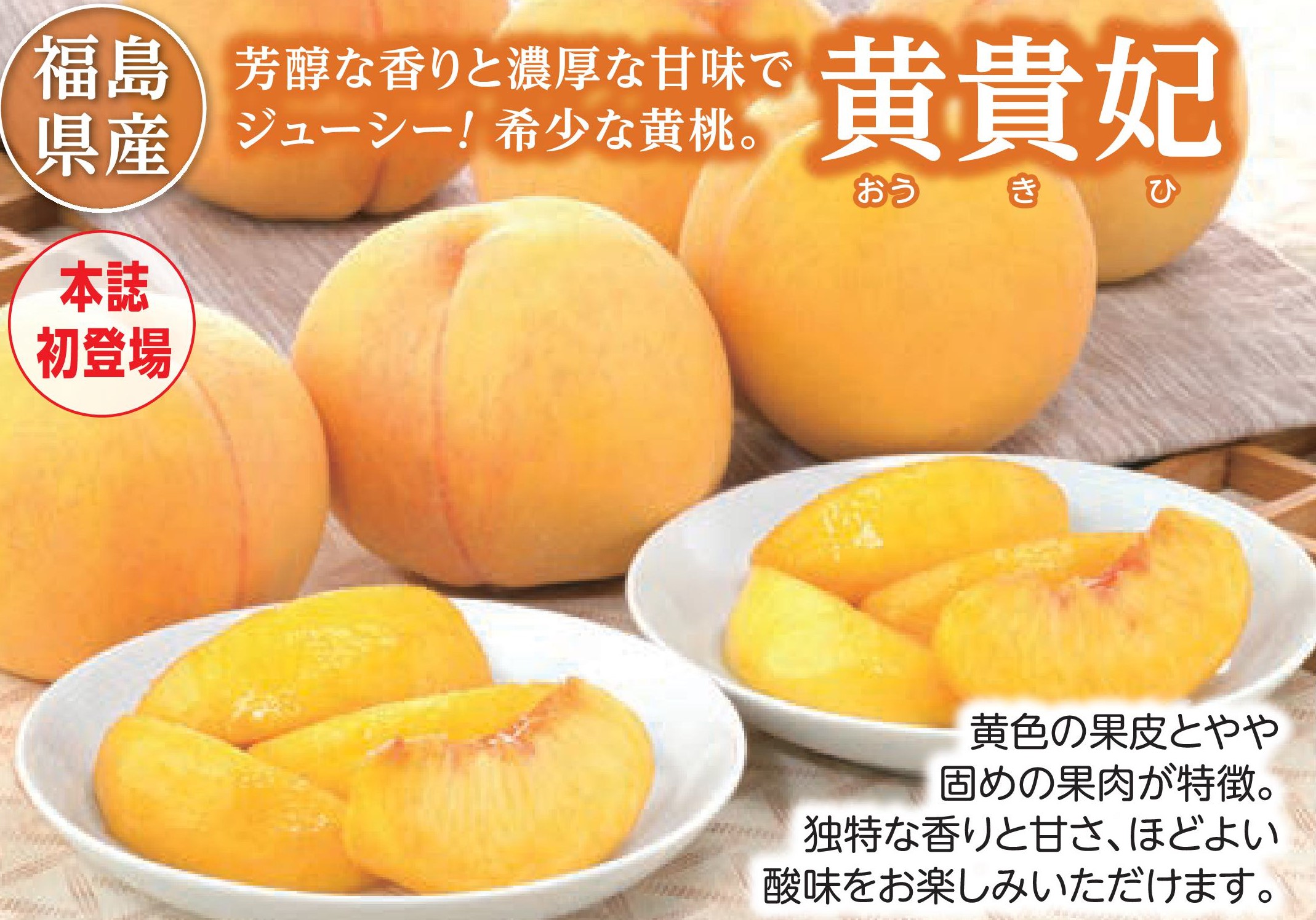 【産地直送品】福島の黄桃 黄貴妃1.8kg (8月下旬～9月上旬出荷)(前払い)