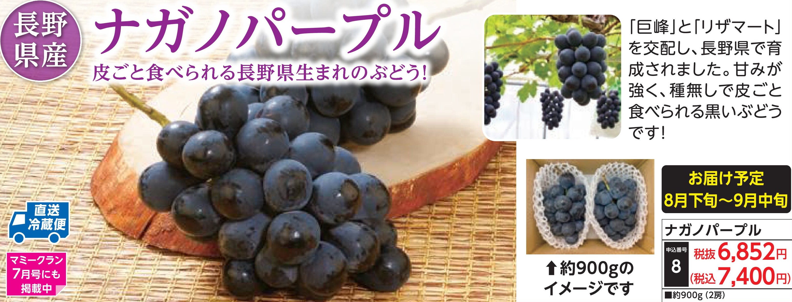 【産地直送品】ナガノパープル (8月下旬～9月中旬出荷)(前払い)