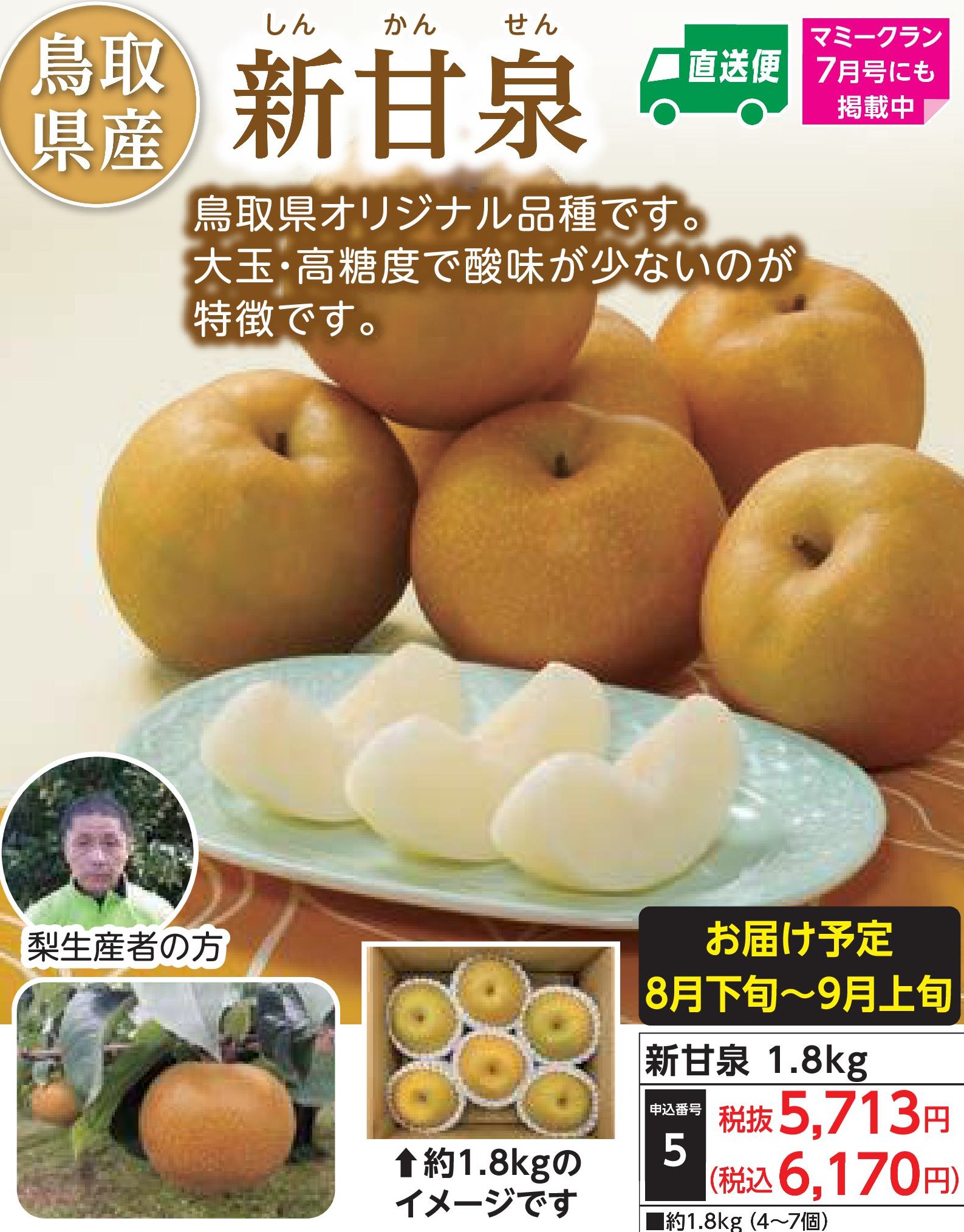 【産地直送品】新甘泉1.8kg　(8月下旬～9月上旬出荷)(前払い)