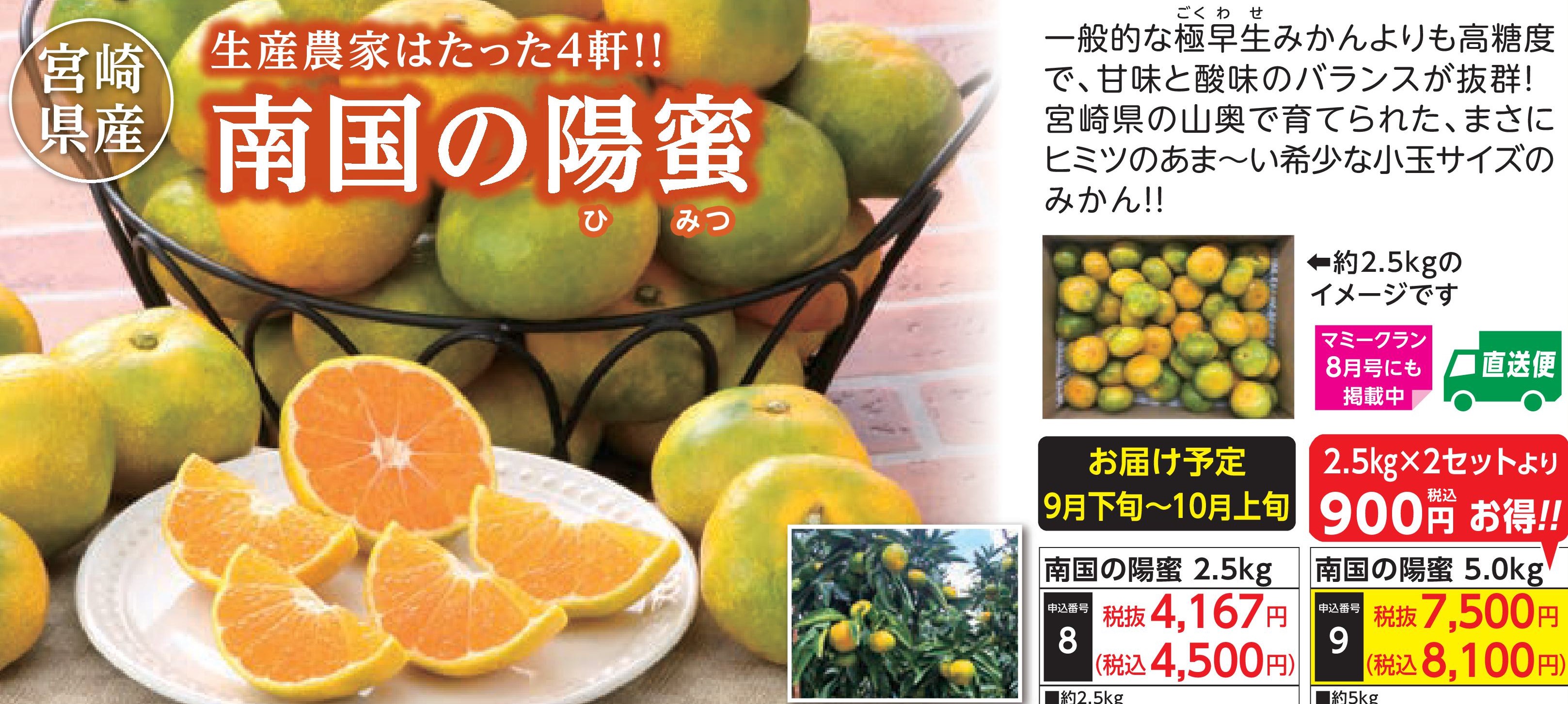 【産地直送品】南国の陽蜜2.5kg (9月下旬～10月上旬出荷)(前払い)