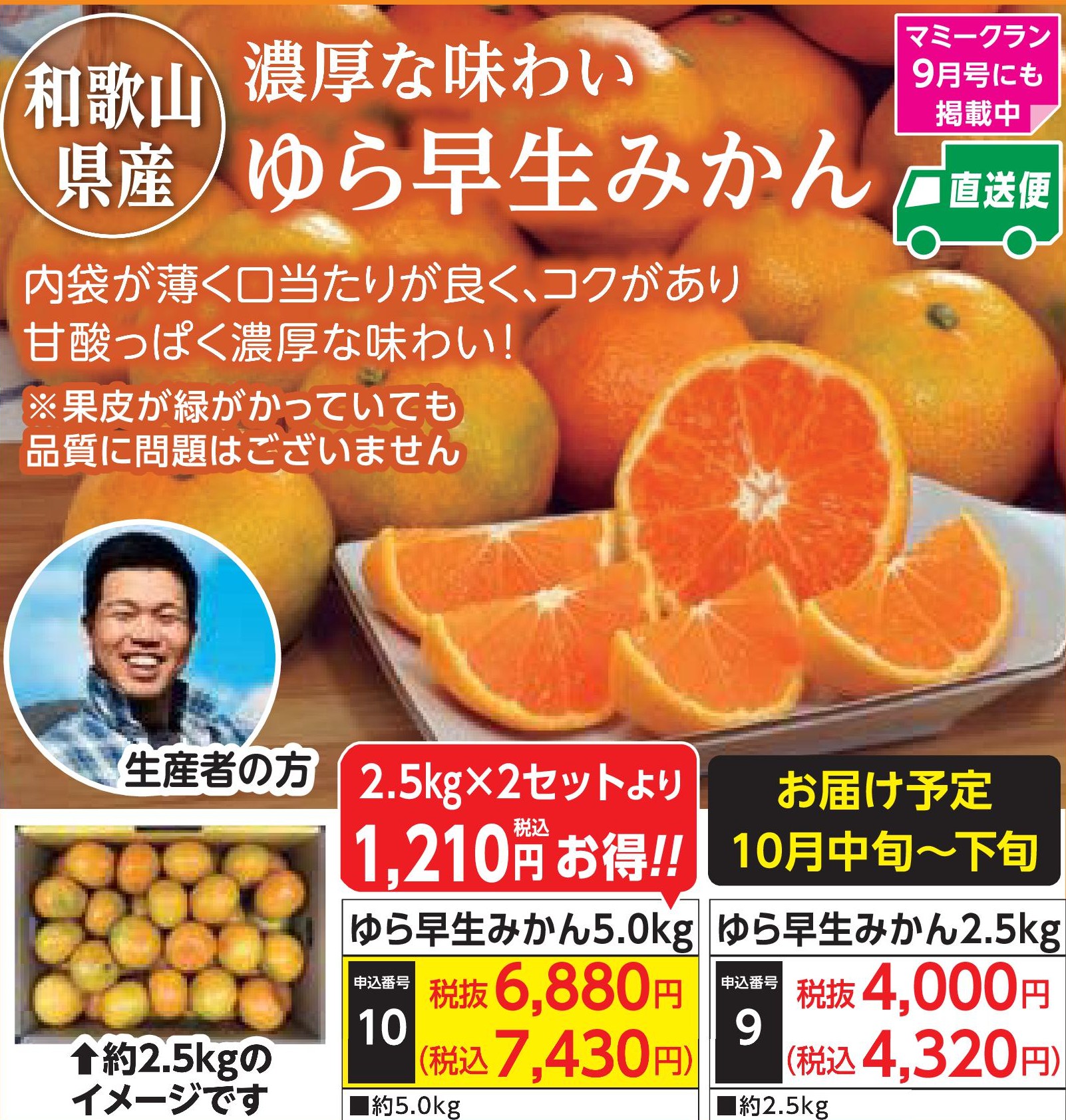 【産地直送品】ゆら早生みかん2.5kg(10月中旬～下旬出荷)(前払い)