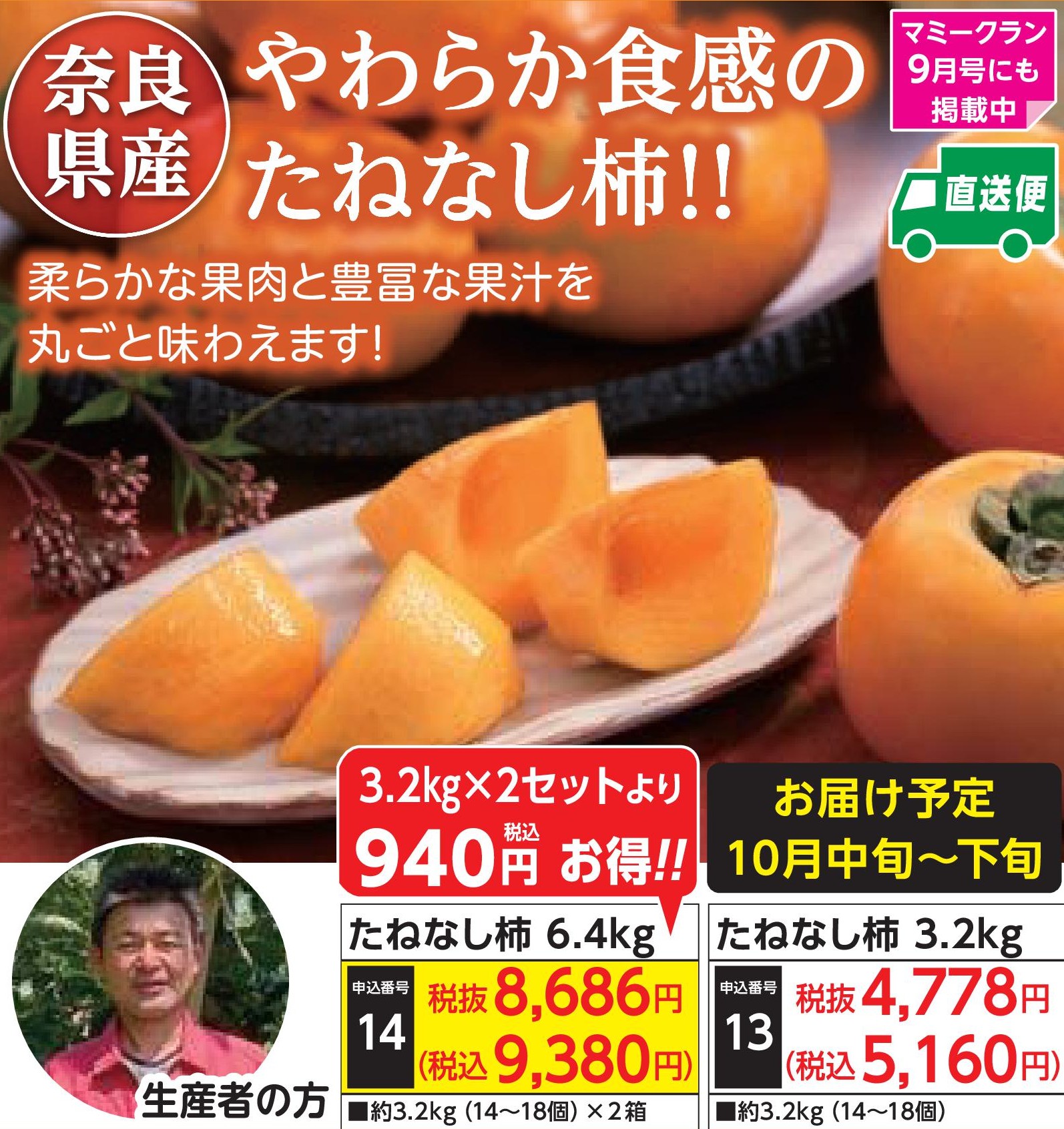 【産地直送品】たねなし柿3.2kg (10月中旬～下旬出荷)(前払い)