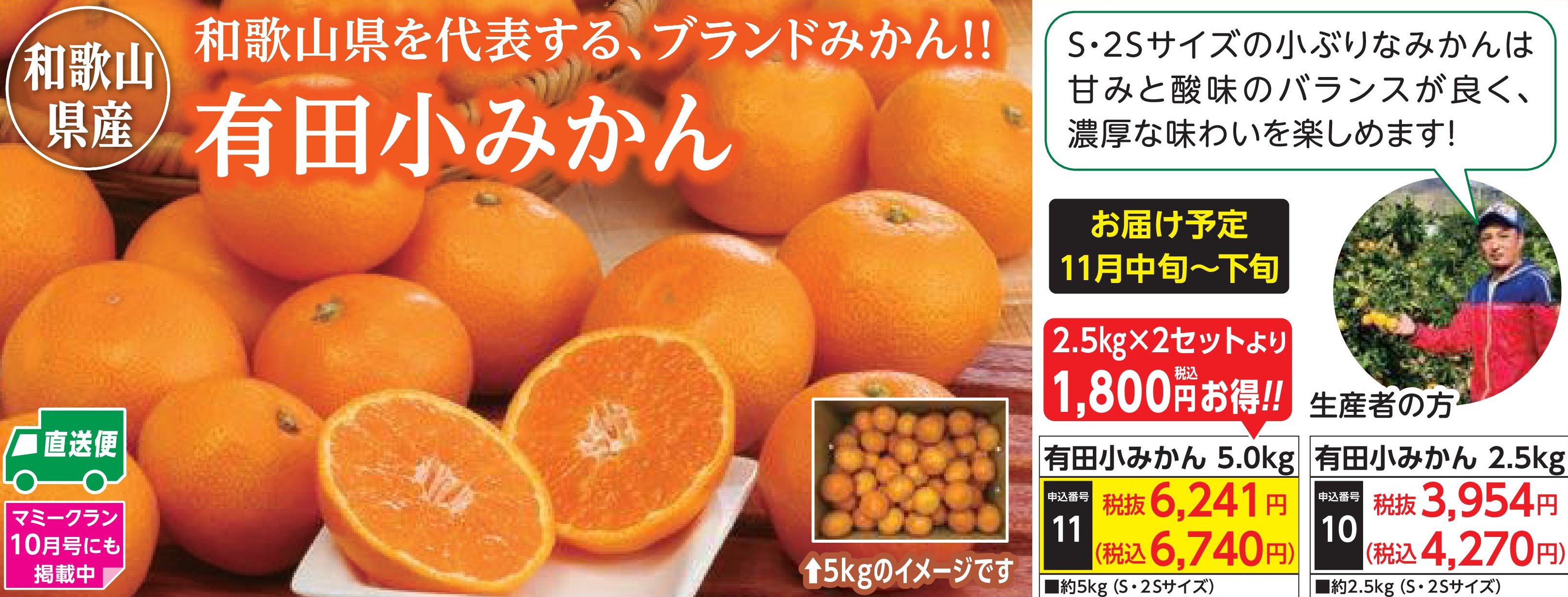 【産地直送品】有田小みかん5.0kg (11月中旬～下旬出荷)(前払い)