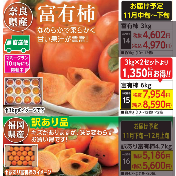 【産地直送品】富有柿6kg (11月中旬～下旬出荷)(前払い)