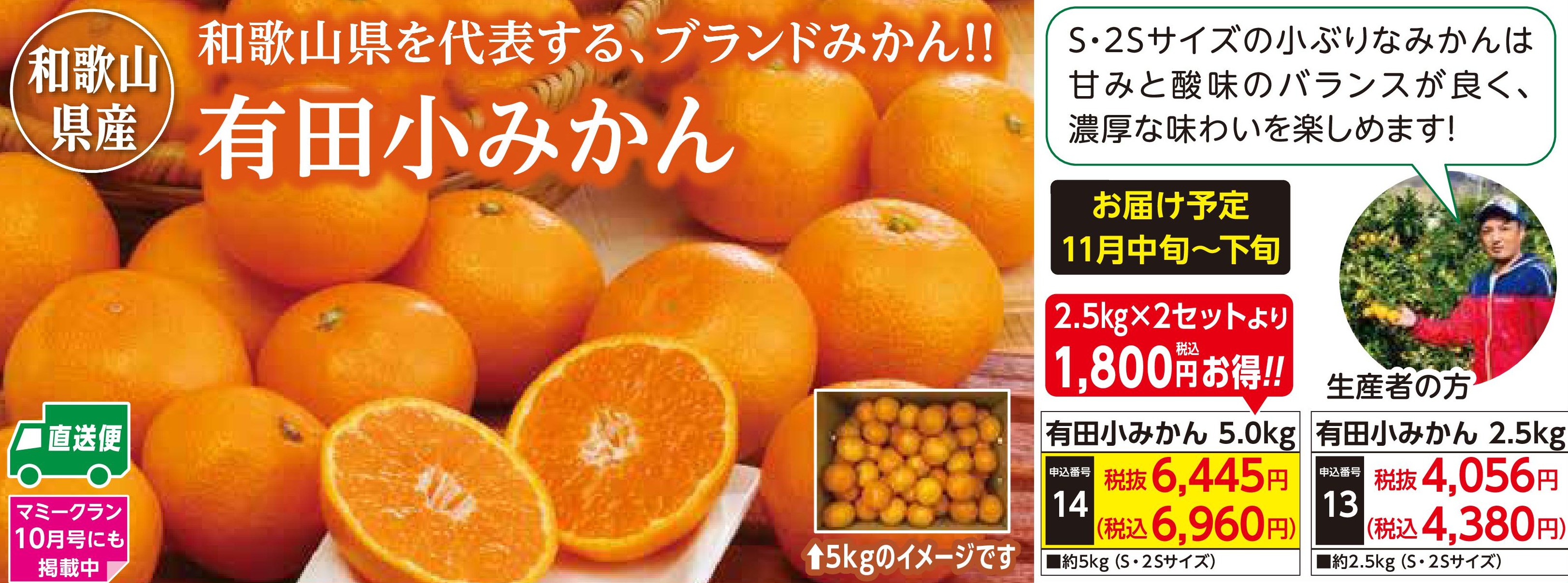 【産地直送品】有田小みかん5.0kg (11月中旬～下旬出荷)(前払い)