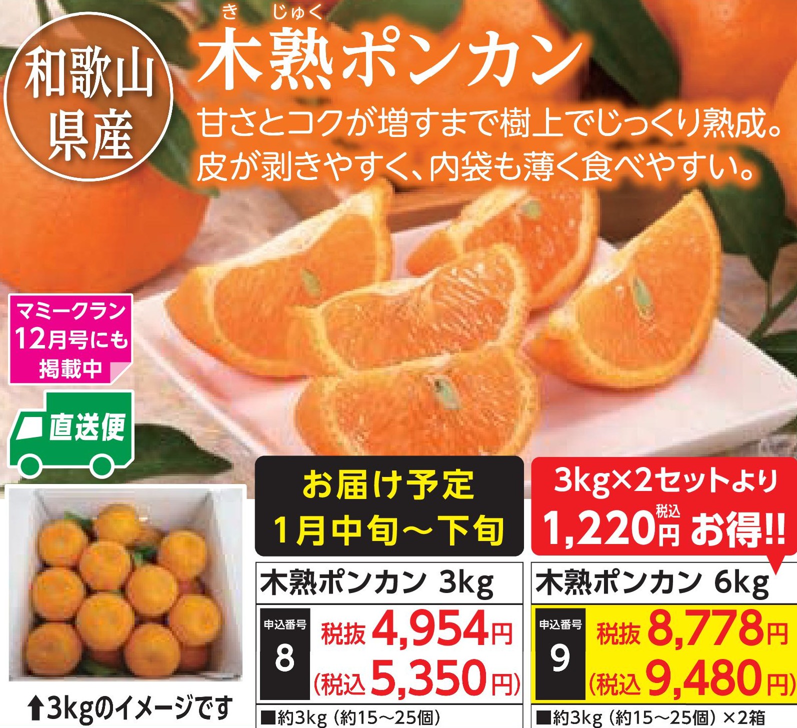 【産地直送品】木熟ポンカン 3kg (2026年1月中旬～下旬出荷)(前払い)