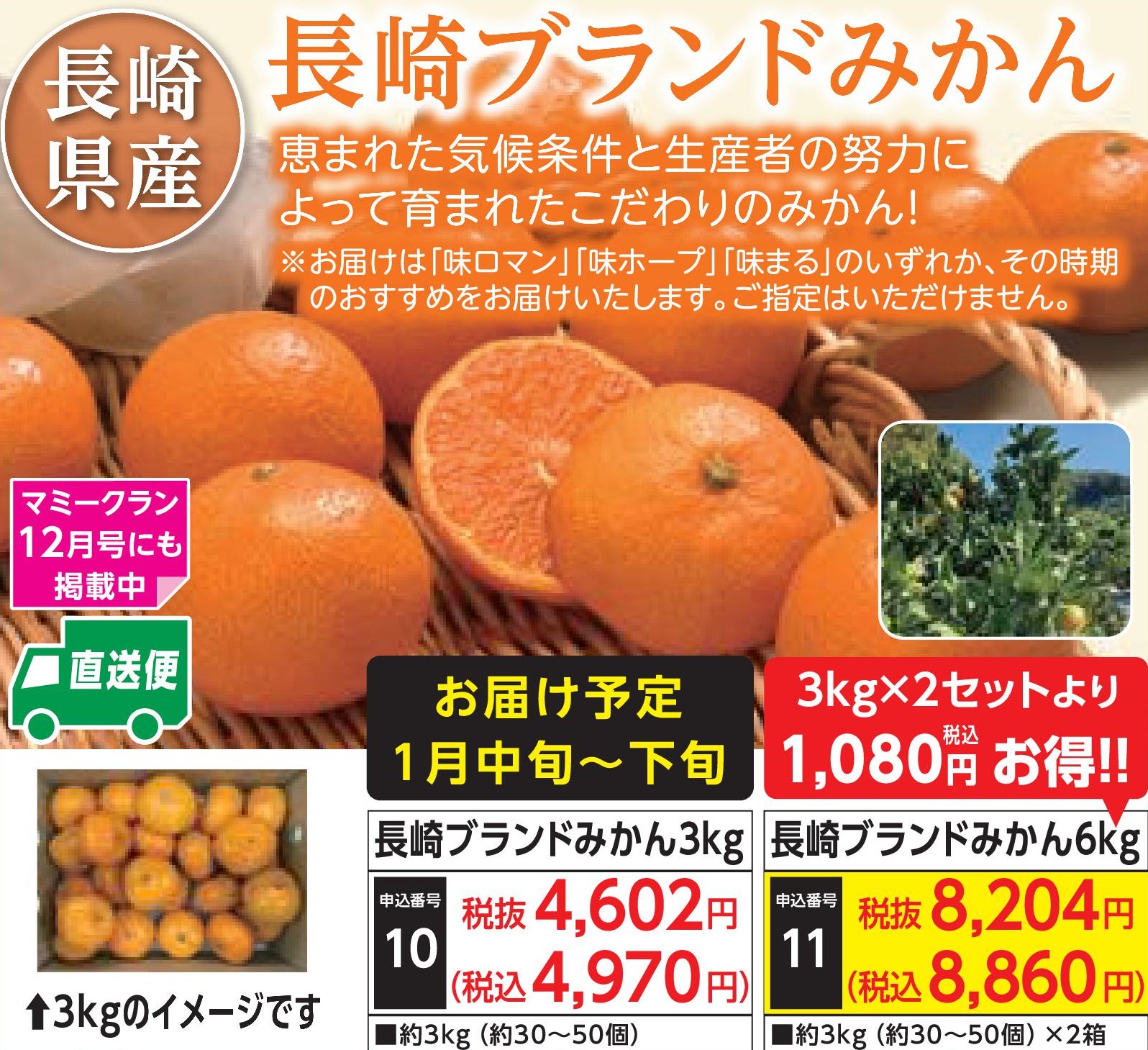 【産地直送品】長崎ブランドみかん 3kg (2026年1月中旬～下旬出荷)(前払い)