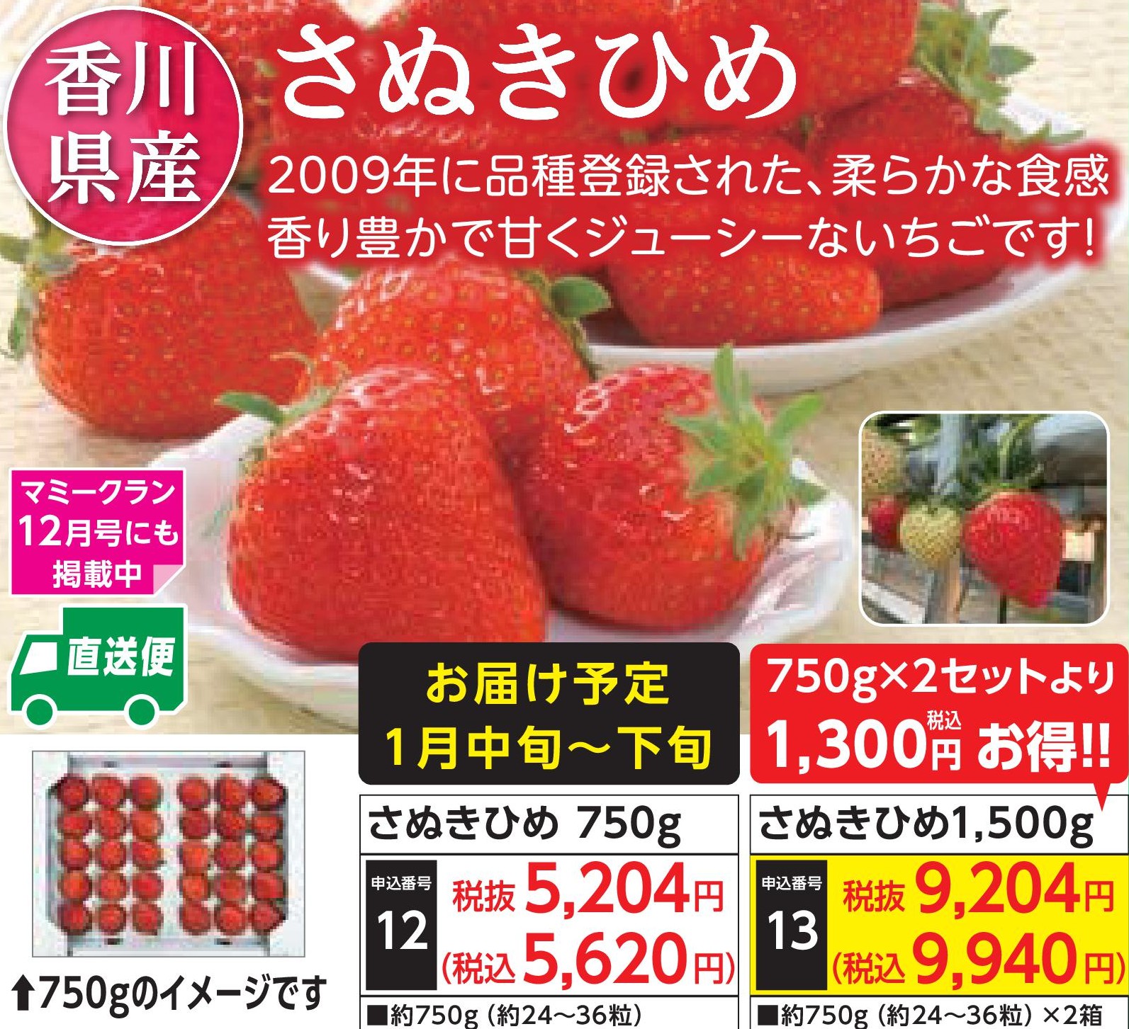 【産地直送品】さぬきひめ1,500g (2026年1月中旬～下旬出荷)(前払い)